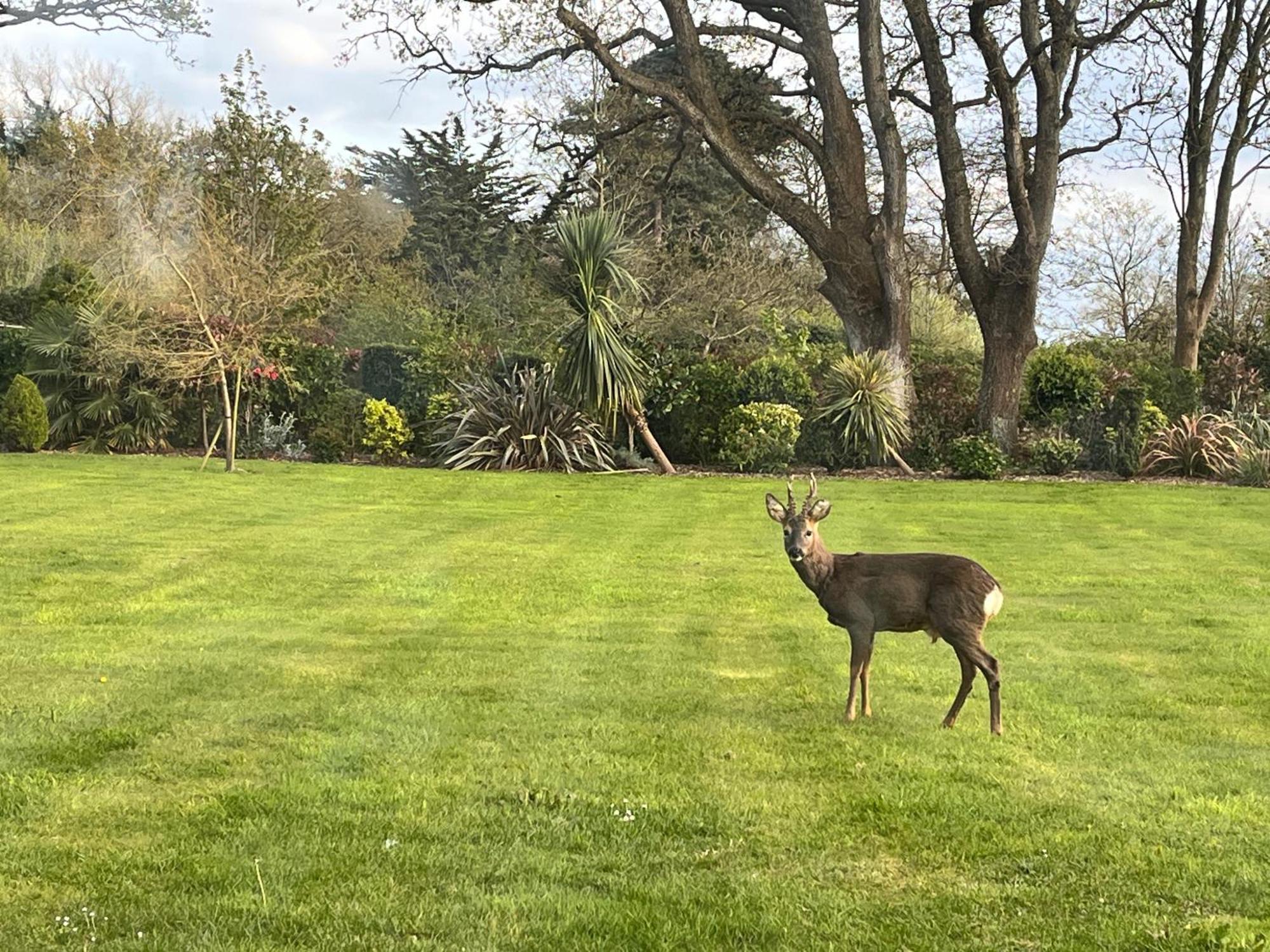 Stay At 'The Elms' In Tranquil Church Norton, Selsey - Ground Floor Bedroom, Own Private Bathroom, Quiet Beach, 2 Acre Garden By The Sea, On Edge Of Wildlife Nature Reserve Exterior photo