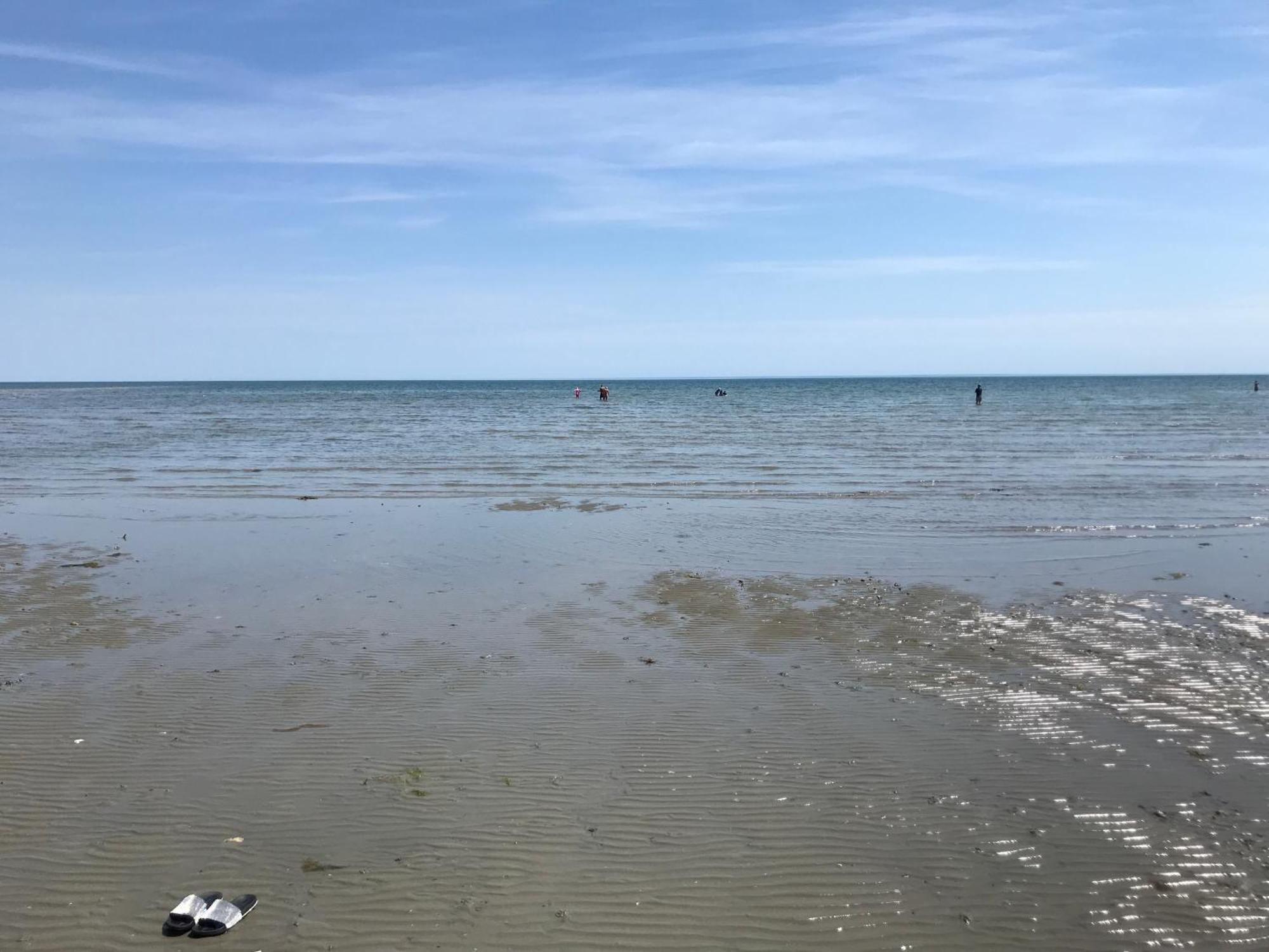 Stay At 'The Elms' In Tranquil Church Norton, Selsey - Ground Floor Bedroom, Own Private Bathroom, Quiet Beach, 2 Acre Garden By The Sea, On Edge Of Wildlife Nature Reserve Exterior photo